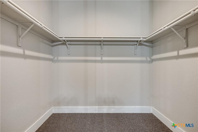 spacious closet featuring carpet