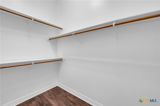 walk in closet with hardwood / wood-style floors