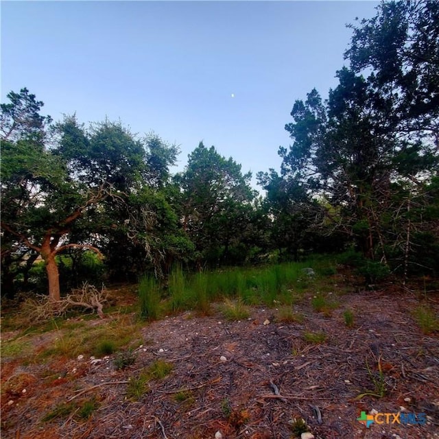 284 Kellog, Fischer, TX 78623 - photo 8