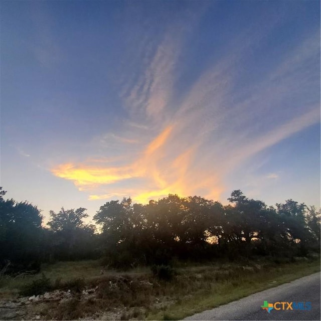 284 Kellog, Fischer, TX 78623 - photo 3
