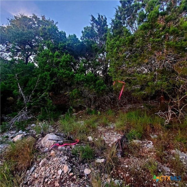 284 Kellog, Fischer, TX 78623 - photo 17