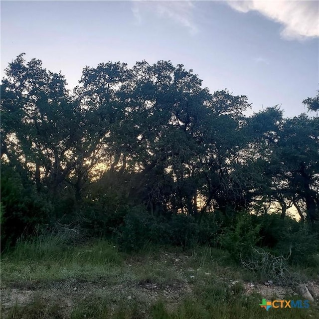 284 Kellog, Fischer, TX 78623 - photo 12