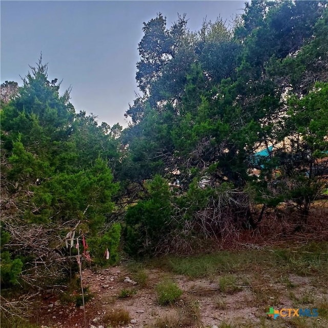 284 Kellog, Fischer, TX 78623 - photo 14