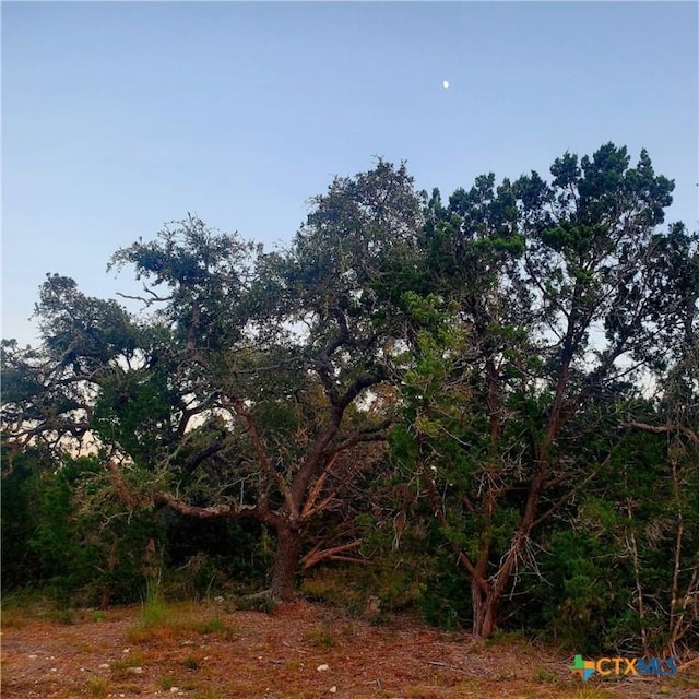 284 Kellog, Fischer, TX 78623 - photo 9