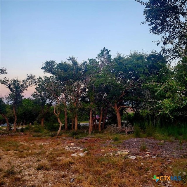 284 Kellog, Fischer, TX 78623 - photo 10