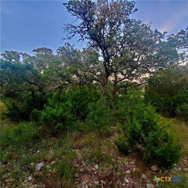 284 Kellog, Fischer, TX 78623 - photo 20