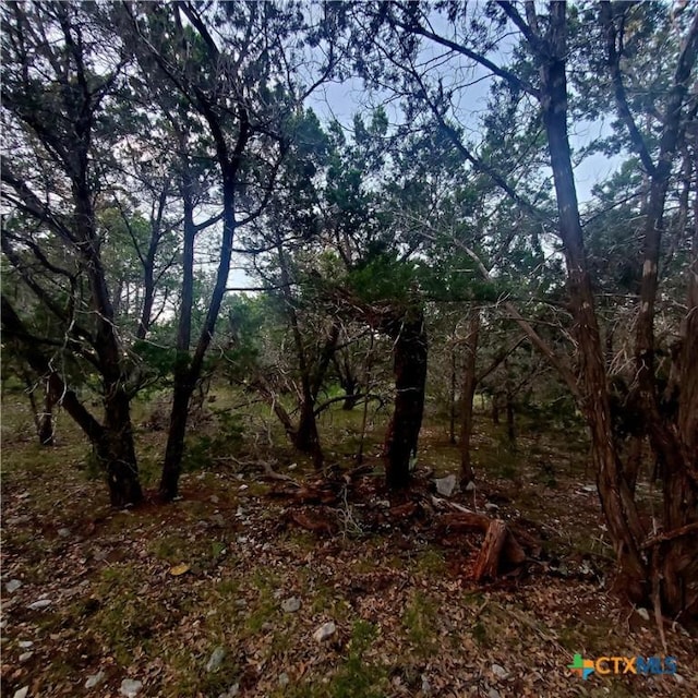 284 Kellog, Fischer, TX 78623 - photo 19