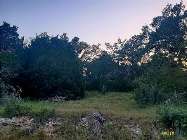 284 Kellog, Fischer, TX 78623 - photo 5
