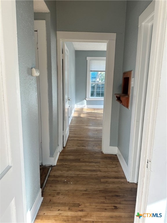 hallway featuring dark hardwood / wood-style floors