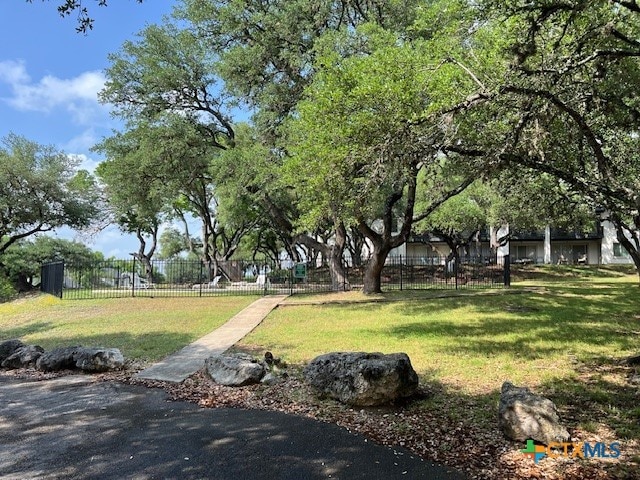 view of home's community with a lawn