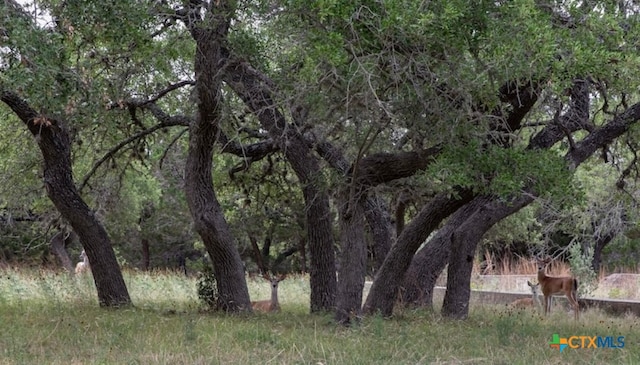 view of nature