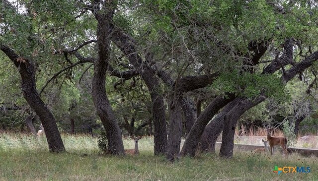 1185 Parkview Dr Unit D24, Canyon Lake, TX 78133 - photo 39