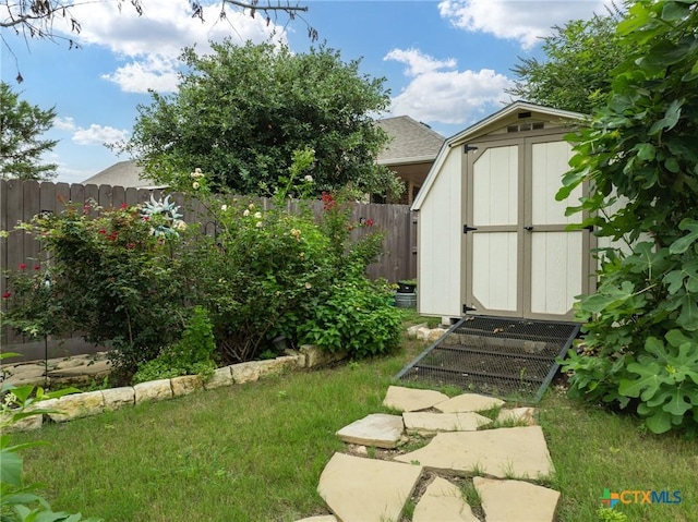 view of yard with a shed