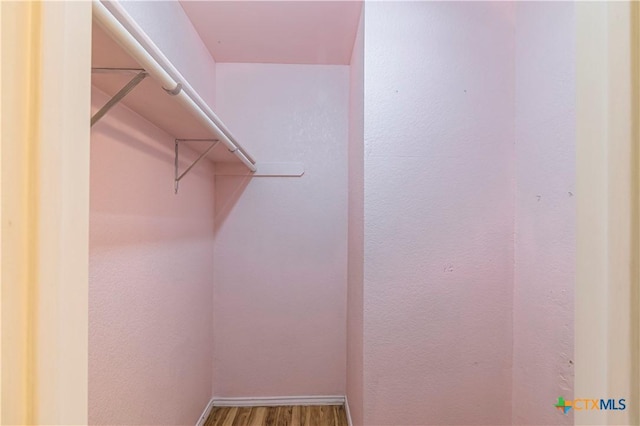 spacious closet featuring wood-type flooring