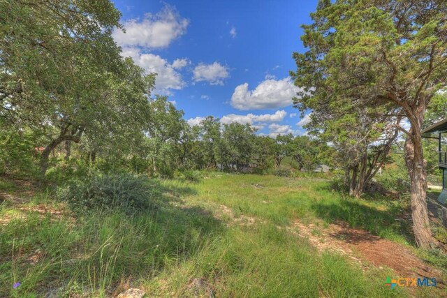 164 Circle Dr, Canyon Lake, TX 78133