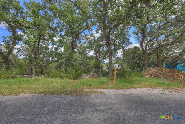 164 Circle Dr, Canyon Lake, TX 78133