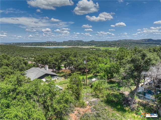 164 Circle Dr, Canyon Lake, TX 78133