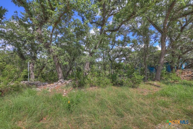 164 Circle Dr, Canyon Lake, TX 78133