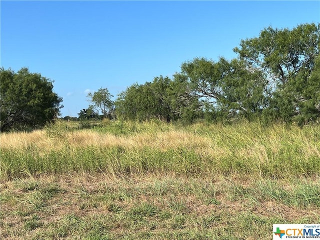 1932 Old Goliad Rd, Cuero, TX 77954 - photo 5