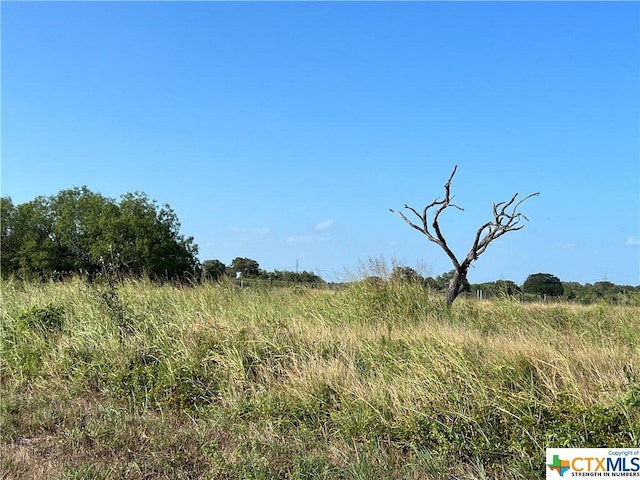 1932 Old Goliad Rd, Cuero, TX 77954 - photo 3