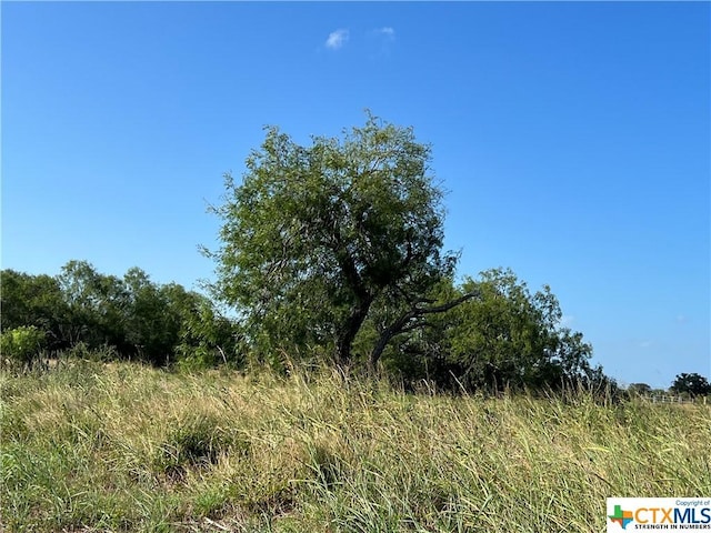 1932 Old Goliad Rd, Cuero, TX 77954 - photo 4