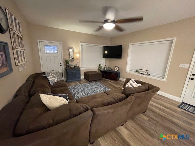 living room with ceiling fan and wood-type flooring