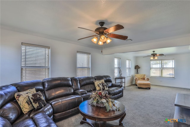 carpeted living room with ornamental molding and ceiling fan