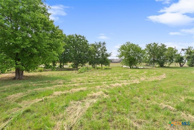 1142 S Pea Ridge Rd, Temple, TX 76502 - photo 4