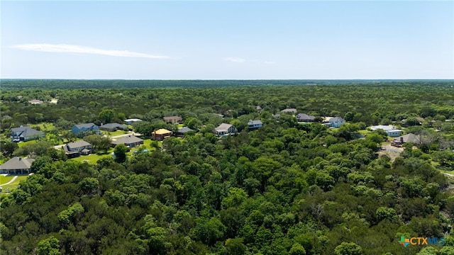 bird's eye view of a forest