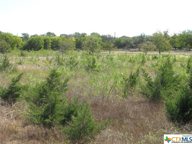 1 County Road 2830, Lampasas, TX 76550 - photo 15