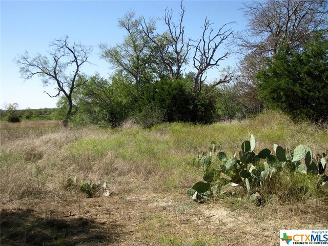 1 County Road 2830, Lampasas, TX 76550 - photo 9