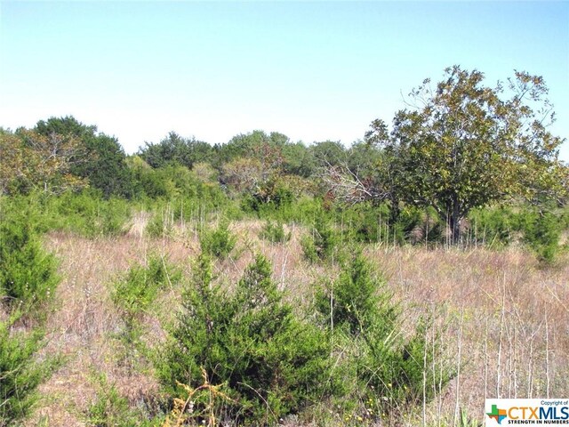 1 County Road 2830, Lampasas, TX 76550 - photo 17