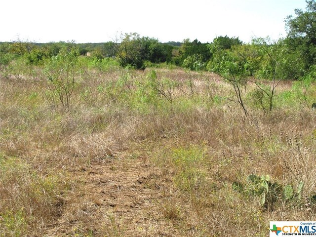 1 County Road 2830, Lampasas, TX 76550 - photo 12