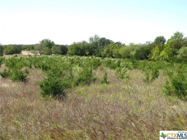 1 County Road 2830, Lampasas, TX 76550 - photo 14