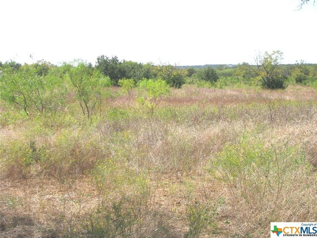 1 County Road 2830, Lampasas, TX 76550 - photo 10