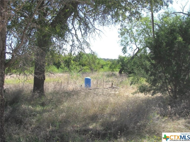 1 County Road 2830, Lampasas, TX 76550 - photo 1