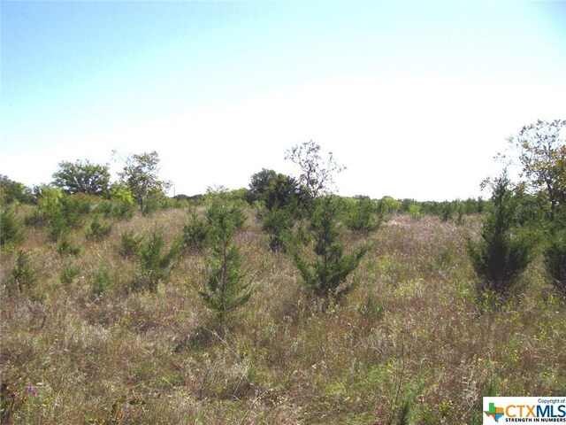 1 County Road 2830, Lampasas, TX 76550 - photo 19
