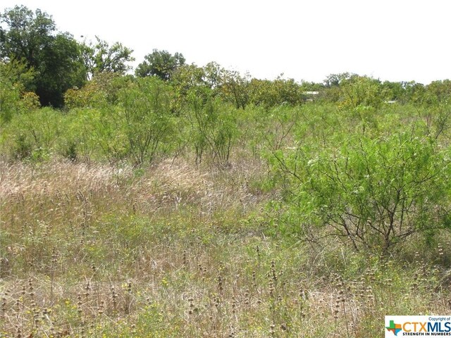 1 County Road 2830, Lampasas, TX 76550 - photo 11