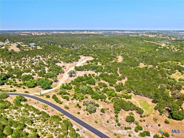 LOT58 Eagle Rdg, Burnet, TX 78611 - photo 4