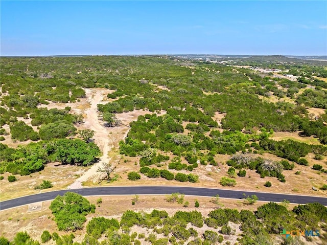 LOT58 Eagle Rdg, Burnet, TX 78611 - photo 1