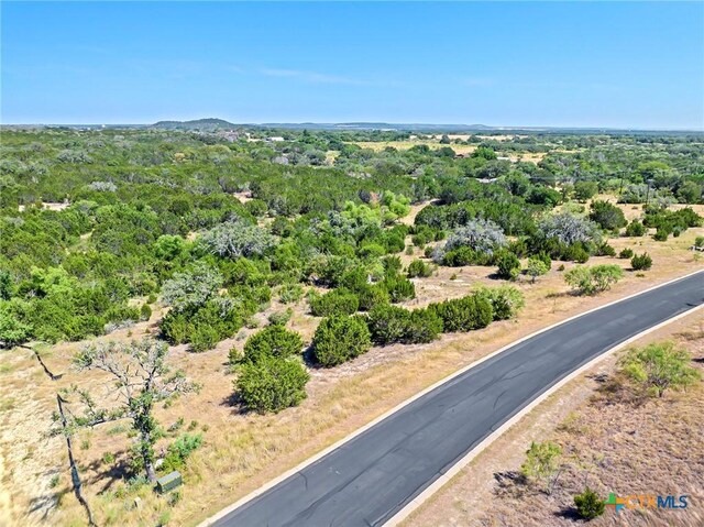 LOT58 Eagle Rdg, Burnet, TX 78611 - photo 11