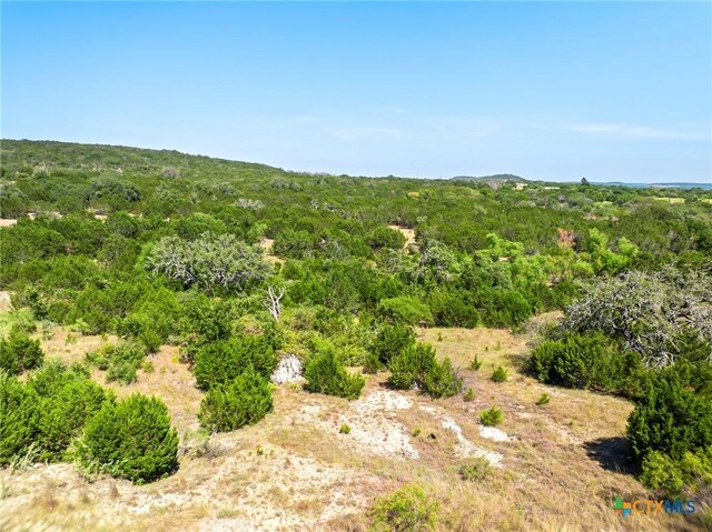 LOT58 Eagle Rdg, Burnet, TX 78611 - photo 16