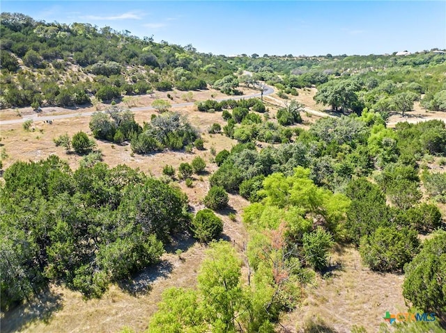 LOT58 Eagle Rdg, Burnet, TX 78611 - photo 13