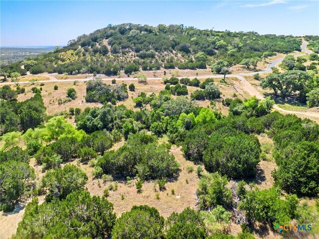 LOT58 Eagle Rdg, Burnet, TX 78611 - photo 14