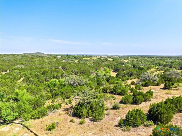 LOT58 Eagle Rdg, Burnet, TX 78611 - photo 15