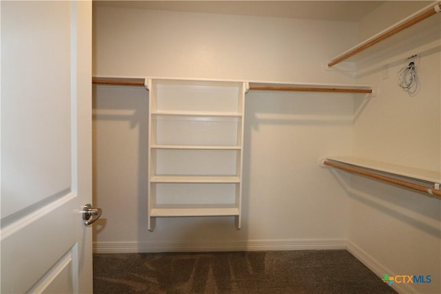 spacious closet with carpet