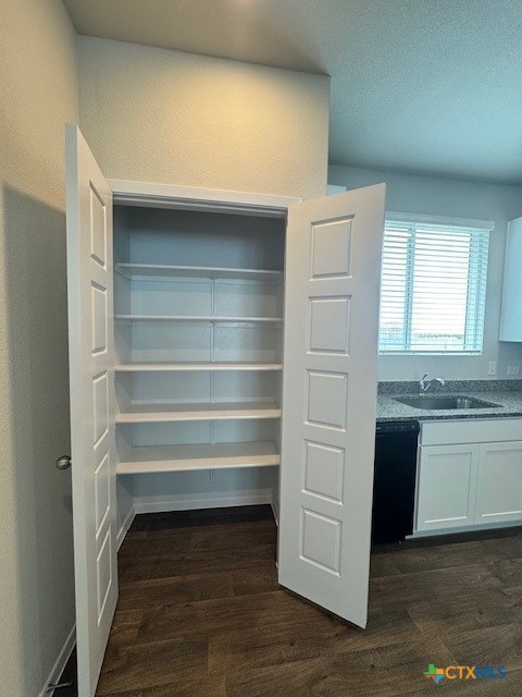 3013 Winding Creek Rd, Kyle, TX 78640 - photo 7