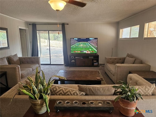 living room featuring plenty of natural light, a textured ceiling, and ceiling fan