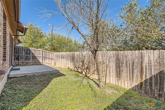 view of yard featuring a patio area