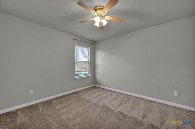 1119 Kiskadee Branch Dr, Temple, TX 76502 - photo 7